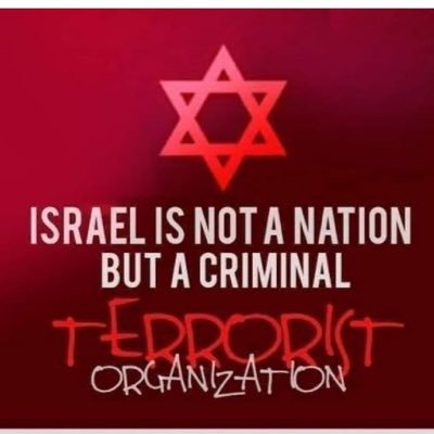 palestine_222's profile picture. Palesitne for ever