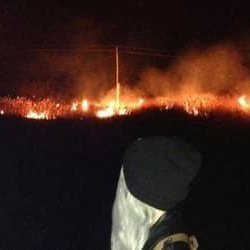 TomanMarie's profile picture. Future of finance | Less Lambo, more lambda #Blockchain