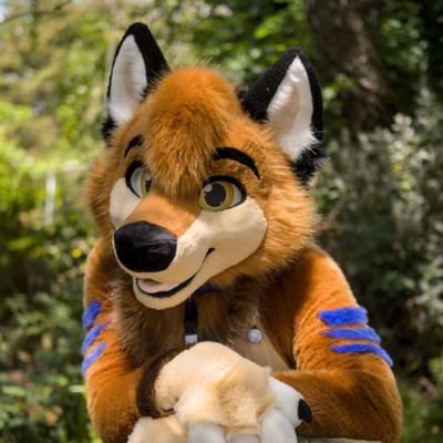 Tibble the Fox Profile
