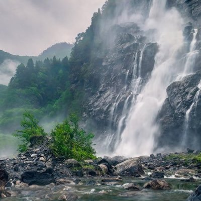 ouk_me16's profile picture. La Palestine libre 🇵🇸