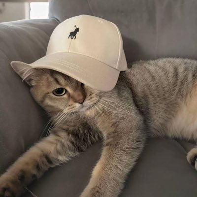 lanie_bratz's profile picture. mentor / teacher 👉 @Tradermayne