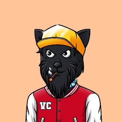 JasmineShillz's profile picture. Web3