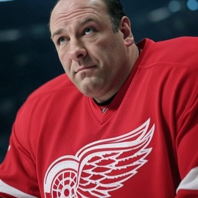 #Lions #RedWings #Pistons #Tigers #Spartans