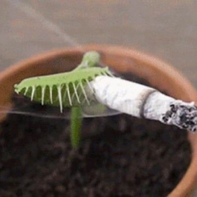 산림청さんのプロフィール画像