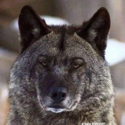 Readnupatriot's profile picture. RIP Charlie Kirk  🙏1993-2025                            Just a regular every day normal motherfu()£r. ❌I don’t lend💰 either. Quit asking!! MAGA All the way