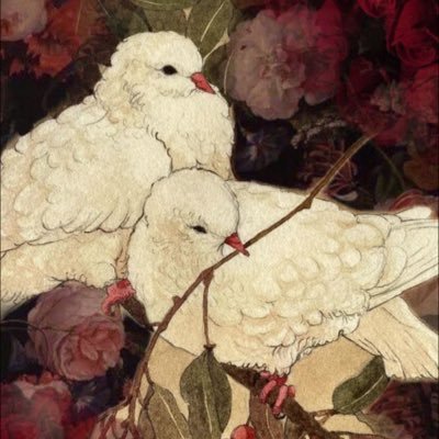 aaavitwt's profile picture. just reposting stuff important to me