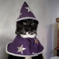 Star Slop (@starslopped) 's Twitter Profile Photo Star Slop (@starslopped) 's Twitter Profile Photo