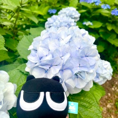 やまもとさんのプロフィール画像