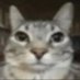 OctagonEers (@octagoneers) Twitter profile photo OctagonEers (@octagoneers) Twitter profile photo