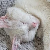 Wendu💙 (@wendycore28) 's Twitter Profile