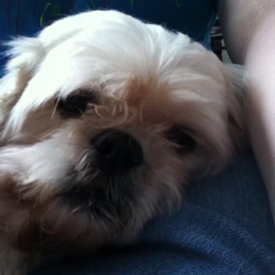 I'm a streamer on twitch I try to stream often Hope you like my stream :)