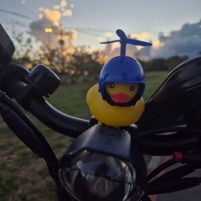 Perdhro_'s profile picture. 