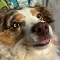 Ge (@psiloge64) 's Twitter Profile