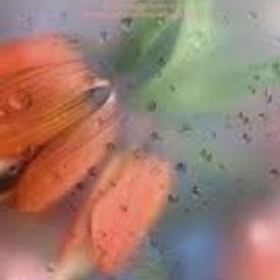 ivilllove's profile picture. 