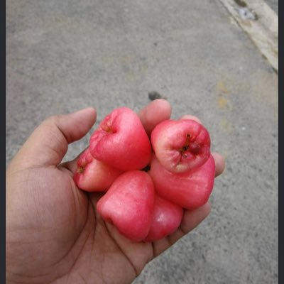 VitalikuV's profile picture. Yes