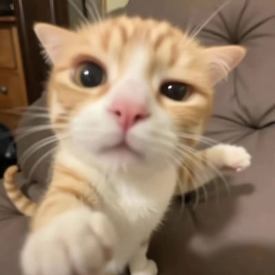 19 gooner telegram: bluperupa he/him im š³ļøāš if you follow me let me follow first sess: 056ceaf34685d99c8ad44c94c8cf75b9a4574ced00875a4972058ef9a7707e9933