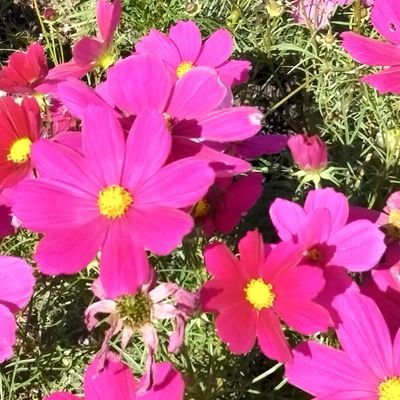 mako_sato715's profile picture. 家庭連合一世/目指せ!日本1周ドライブ
趣味は読書(漫画から歴史書迄)/趣のある喫茶店で読書してボーッとしたい🥺
てんかん治療