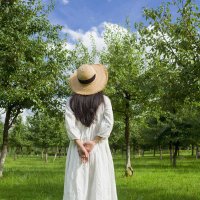 小涵 (@corneliusf26192) 's Twitter Profile