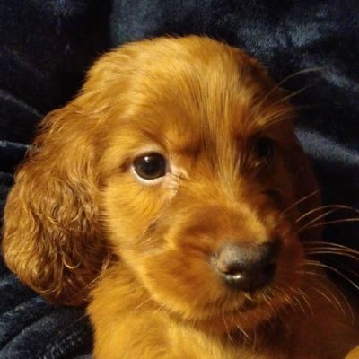 老いも若きも皆が豊かに幸せに生きていける世の中を。高1と社会人1年生の母ちゃん。国民民主党 千葉県参議院選挙区第一総支部党員。小林さやかさん応援してます!皆選挙行こう!SNS怖いので衆院選始まるまではリポストに徹します。