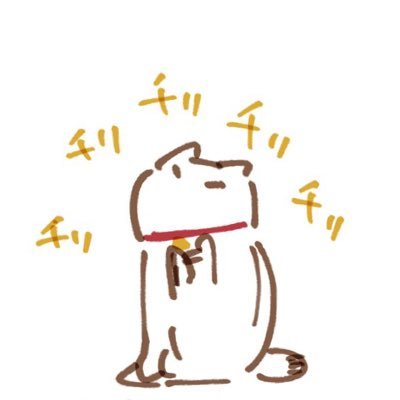 かめたろうさんのプロフィール画像