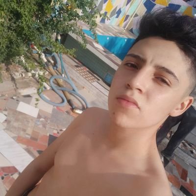 Profecionista