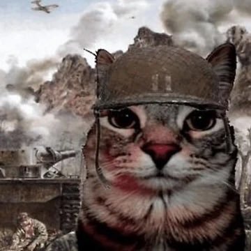 SuperBobFN's profile picture. 