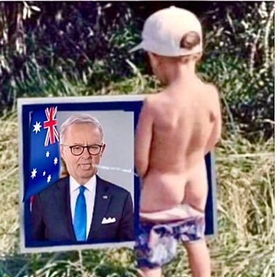 Vincent Jessop 🇦🇺🦖🦕 Blue Tick COOKER. MAGA. Also on X @vinceauzintec & @jessop_vincent #VotedNo Dingo Ate Your Baby.