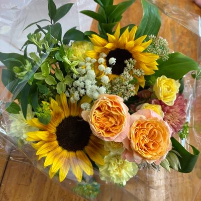 kchimiru97's profile picture. ‘24.10〜SHElikes。ライティング中心に勉強中｜DOMOTO（元KinKi Kids）ファン歴23年。読書、鬼滅の刃、薬屋のひとりごと、猫、コーヒー、お酒｜最近韓ドラにはまり、にわかに韓国語勉強中。英語も気になる～｜ SHEmoney ‘25.11～自分の人生は自分で舵取りをする！