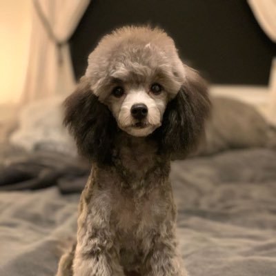 hyunetastic's profile picture. ✧