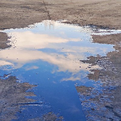 yun129581930's profile picture. 