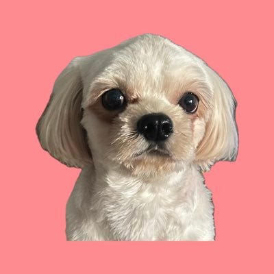 joshii_dump's profile picture. Military wife 💗