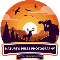 Nature's Pulse Photography (@naturespulsi) 's Twitter Profile