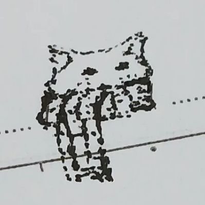 paracetamolさんのプロフィール画像