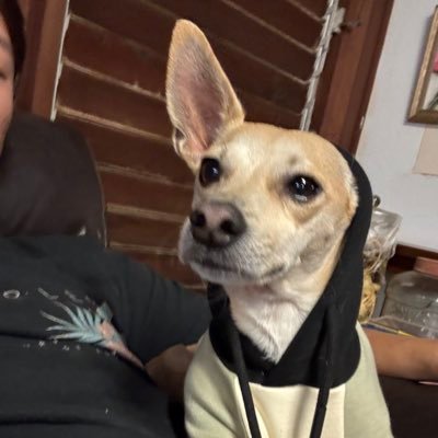 freshfrozenflow's profile picture. dad