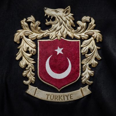 alperutku's profile picture. Vatan millet sevdalısı, siradan bir vatandas.