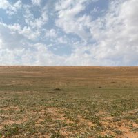 وائل الضويحي (@wk_1d) Twitter profile photo