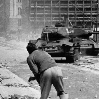 King_kolaps's profile picture. links-rechter Gedankenpirat mit Hang zum Emotionalen. 🏴‍☠️