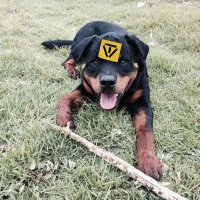 Beatriz Perez (@beamerlina) 's Twitter Profile Photo Beatriz Perez (@beamerlina) 's Twitter Profile Photo