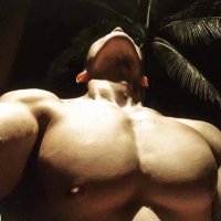 鳴 (@mcadure) 's Twitter Profile Photo 鳴 (@mcadure) 's Twitter Profile Photo