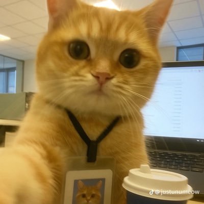 jellyfindfish's profile picture. พื้นที่ส่วนตัว เพราะกูเป็นบ้า