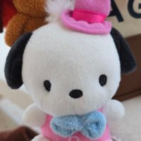 P (@cy___79) 's Twitter Profile