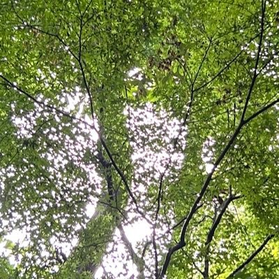 新規就農目指してました。 今はその方たちの想いが詰まった商品を多くの人に届ける仕事をしてます! 催事販売員です