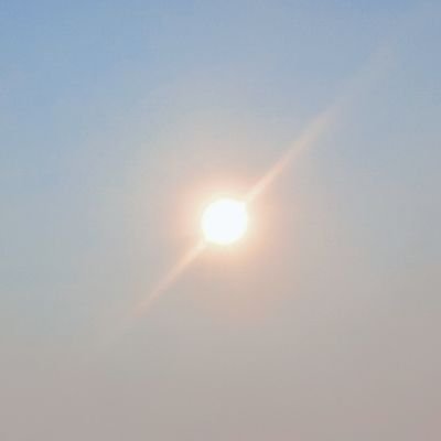 thisikhsan's profile picture. .