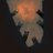 JuryofCats's profile image