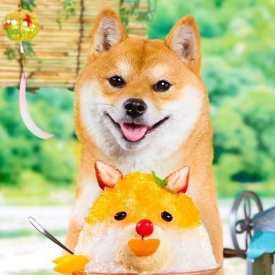 山田さんのプロフィール画像
