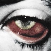 β‘οΈππβ΄π½β―πΆπΉβ―πΉπππππππππ΄ππ«π‘π’π―π’π― (@crescentbleed) 's Twitter Profile