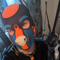 Pup Aki (@pup_aki_ch) 's Twitter Profile
