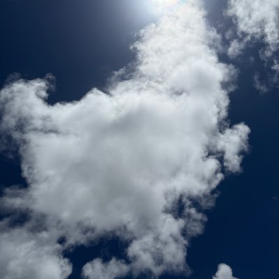 kei092694's profile picture. 