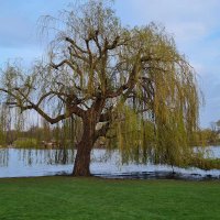 Eloise (@nachteuleeloise) Twitter profile photo