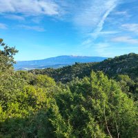 Constantin Gaschignard (@cgaschignard) 's Twitter Profile